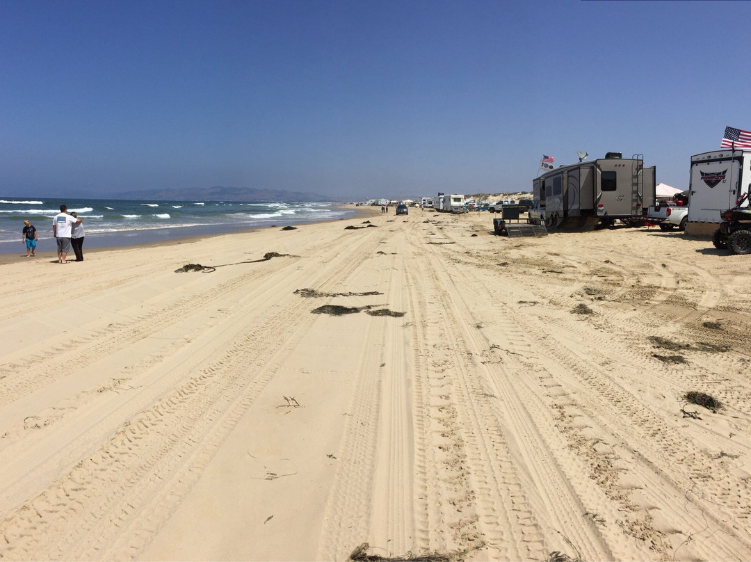 Pismo State Beach景点图片