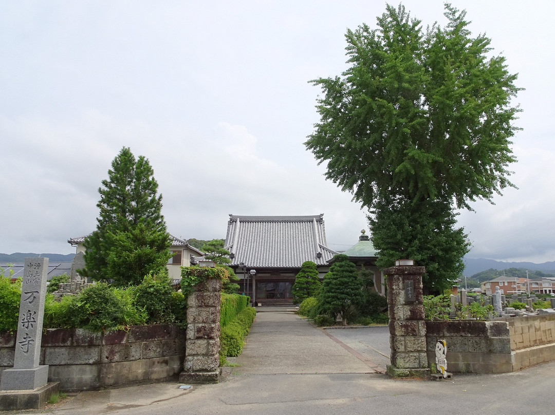 Maidenhair Tree of Manraku-ji Temple景点图片