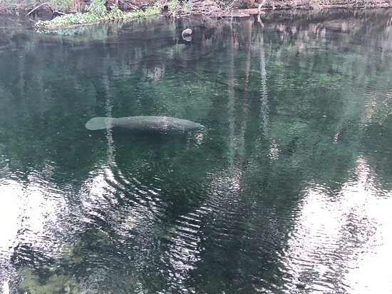 Florida Dive Company景点图片