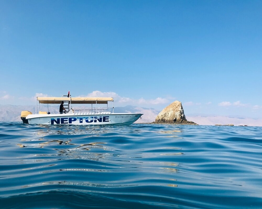 Neptune Diving Center景点图片