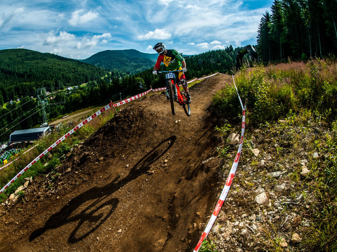 Areal Kouty - Bike Park-Kouty nad Desnou必去景点