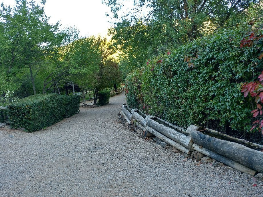 Botanical Garden Torre del Vinagre景点图片