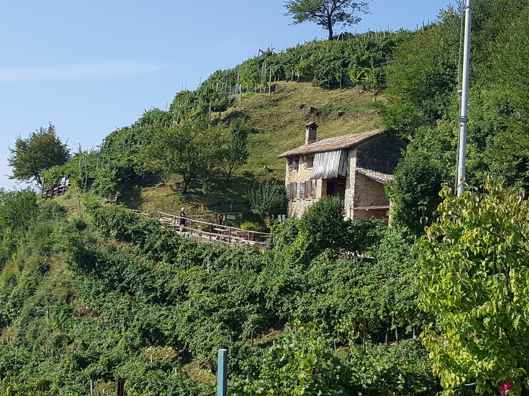Saccol旅游攻略图片