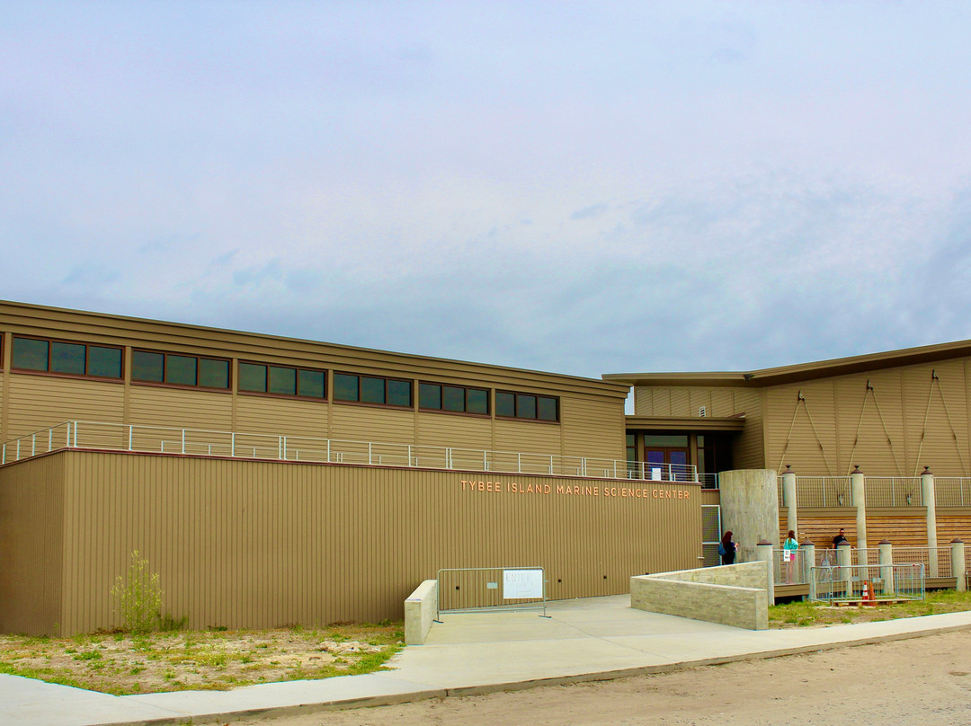 Tybee Island Marine Science Center景点图片