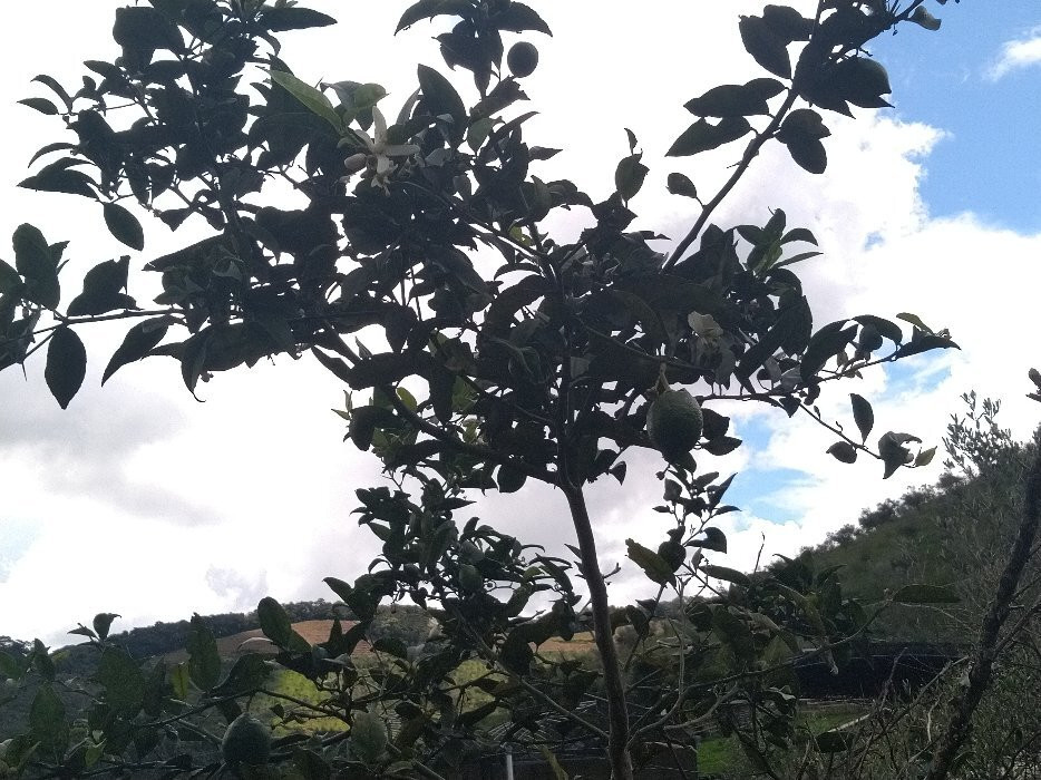 Fazenda Maria da Fé-Maria da Fe必去景点