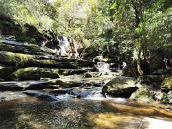 Somersby Waterfalls and Picnic Area景点图片