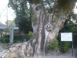 Kokawadera Temple-纪之川市必去景点