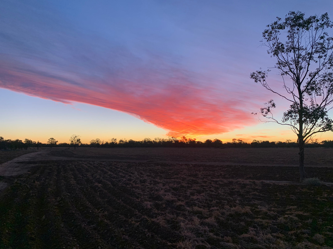 Carinya Station Farm Stay