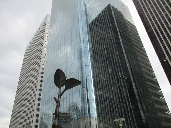 Point Growth景点图片