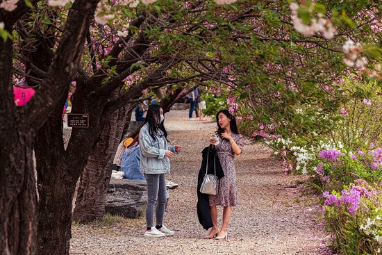 Gagwonsa Temple-天安市必去景点
