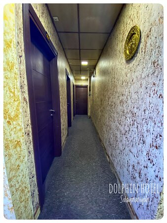 Dolphin Hotel & Hostel Sulaymaniyah主图
