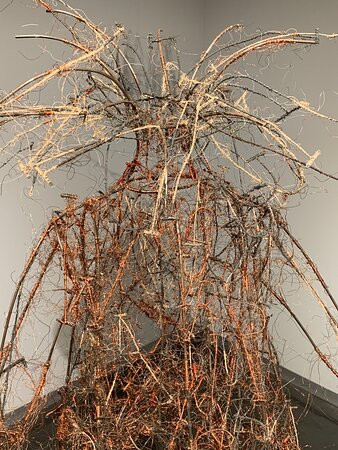 LSU Museum of Art-巴吞鲁日必去景点