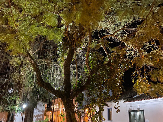 Atelier Marcio Franco-帕拉地必去景点