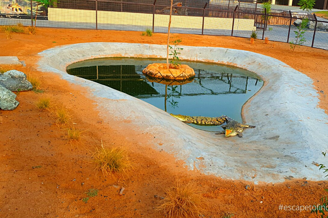 The Zoo Wild Life Park-乌姆盖万必去景点