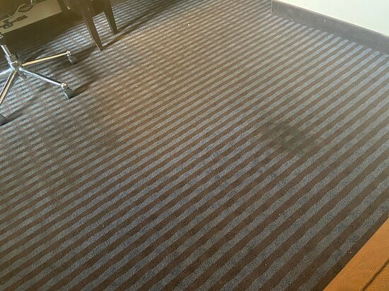 Newport酒店住宿-Comfort Suites Newport - Cincinnati Riverfront