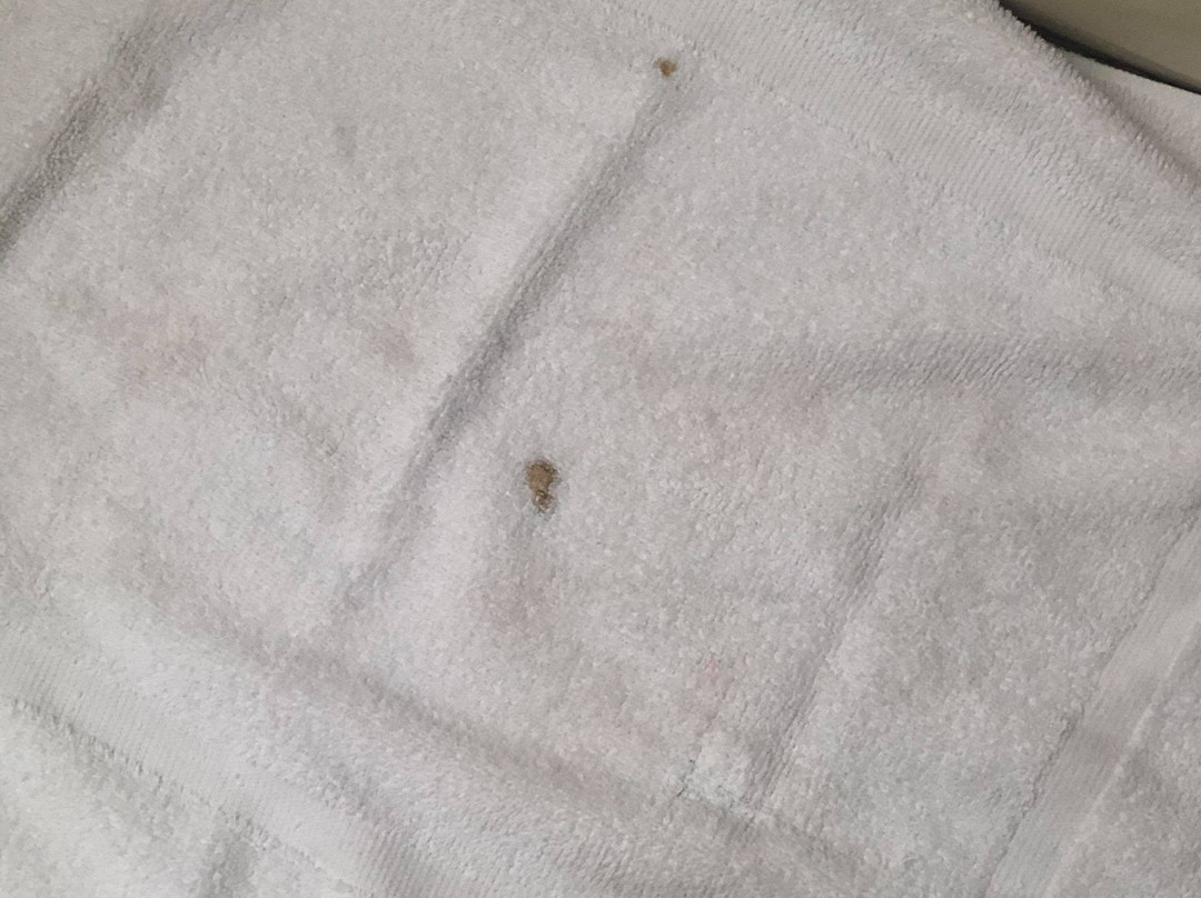 Blue Jay Inn and Suites