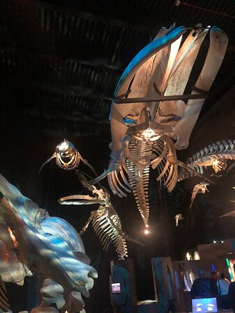 Marine Mammal Interpretation Centre景点图片