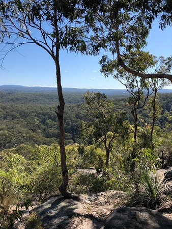 Olympic Drive Lookout-Blaxland必去景点