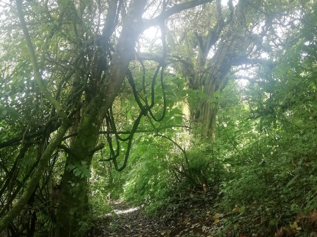 Rancho Camurí