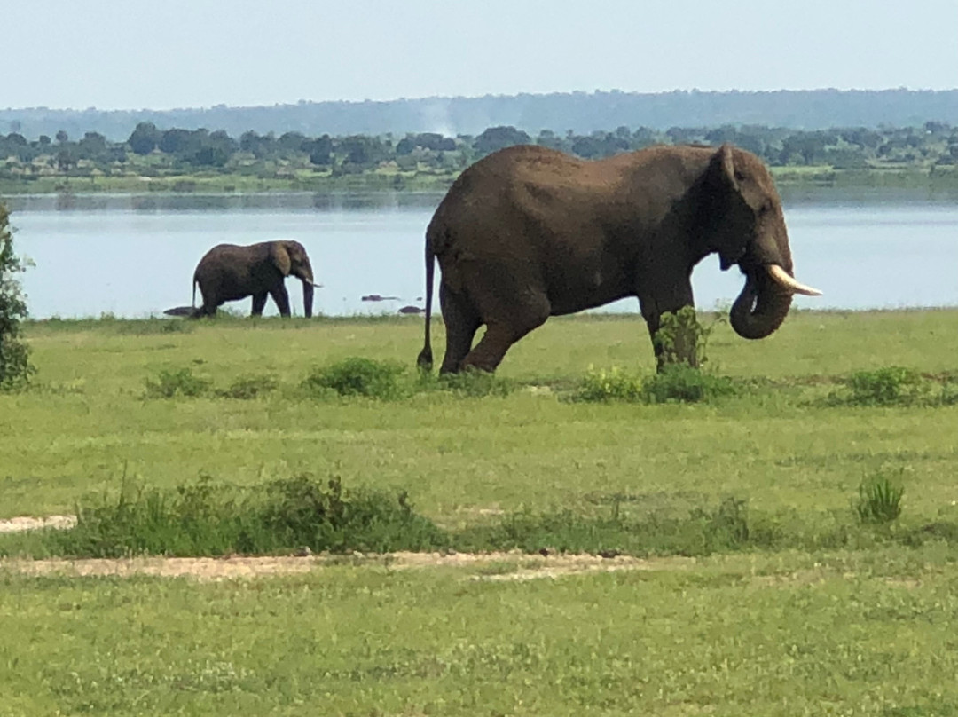 Uganda Adventure Safaris-坎帕拉必去景点