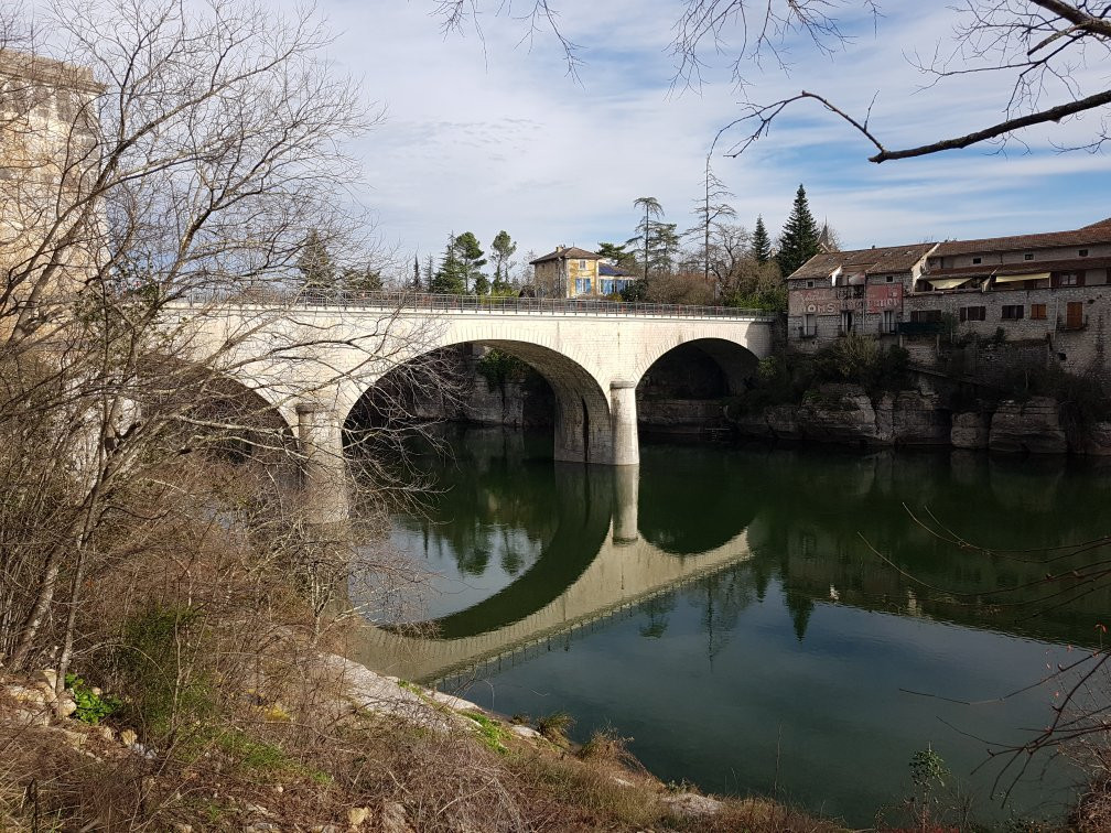 Gîtes La Bambouseraie