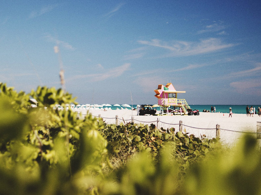 迈阿密旅游攻略图片