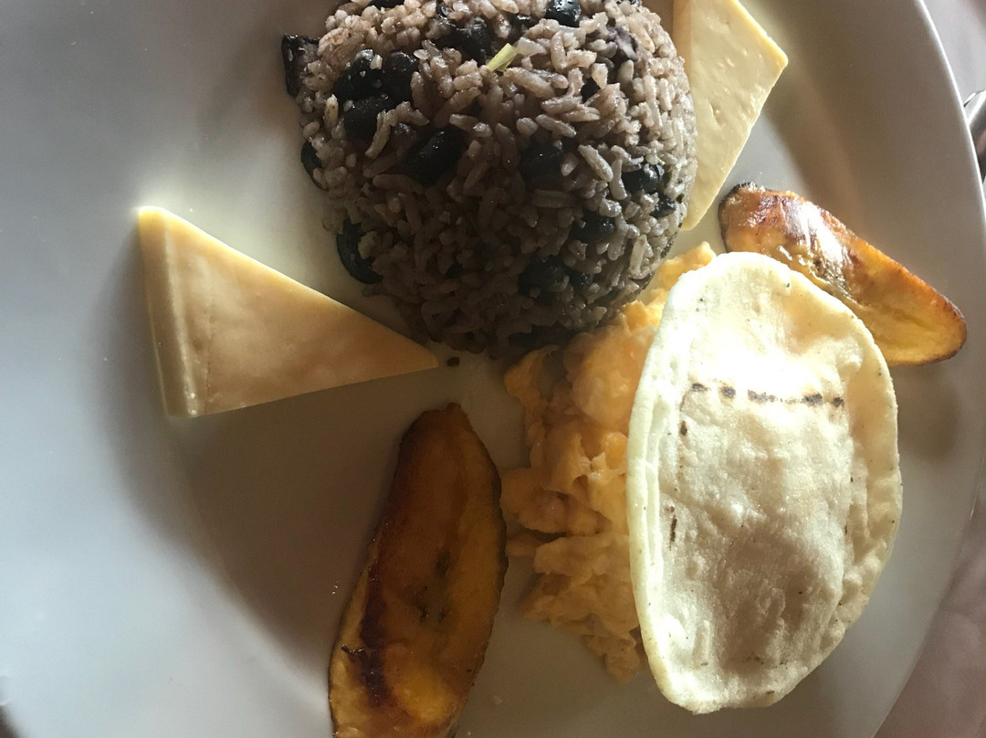 Cerro Plano酒店住宿-Cloudforest Lodge