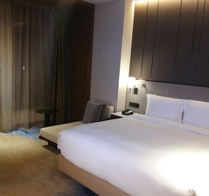 上海新虹桥国家会展中心灿辉希尔顿花园酒店主图