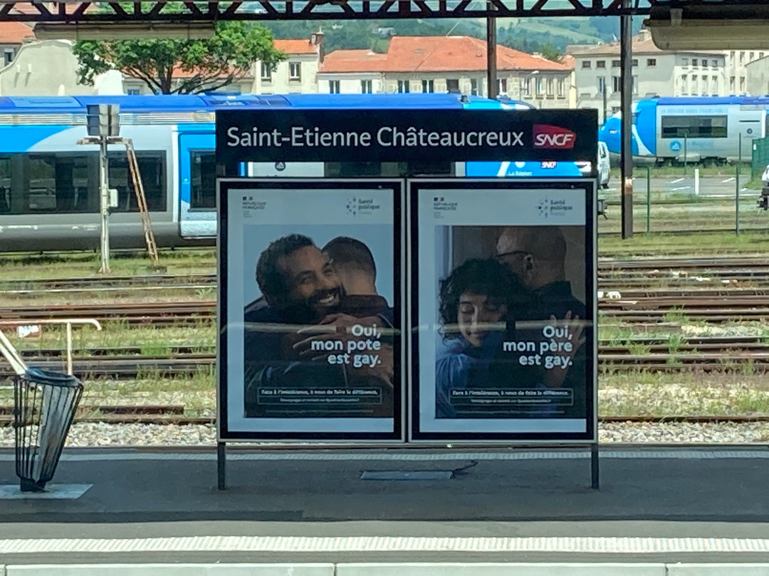 Gare de Saint-Etienne Châteaucreux景点图片