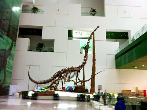 中国科学技术馆-北京市必去景点