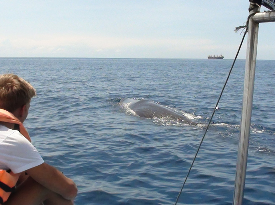 Trinco Water Sport Tours-Trincomalee必去景点