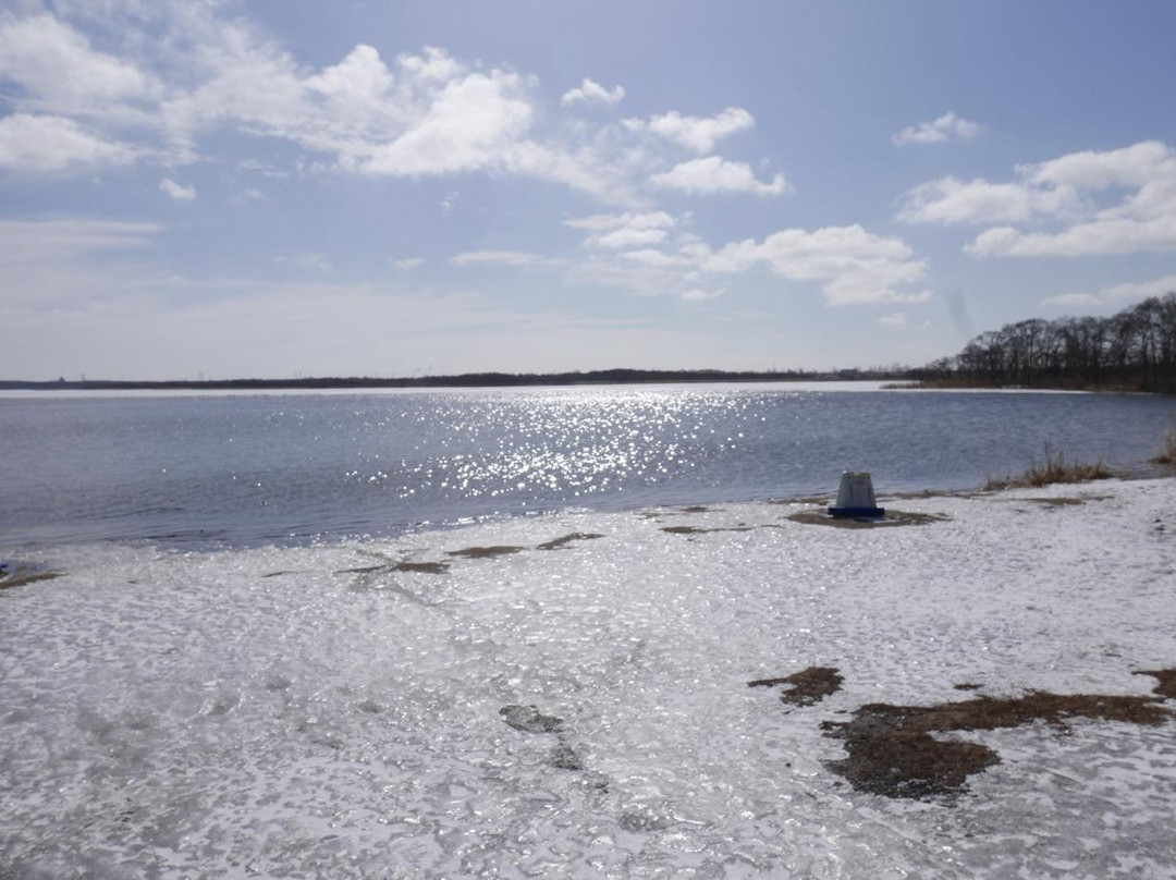 北海道天鹅湖景点图片