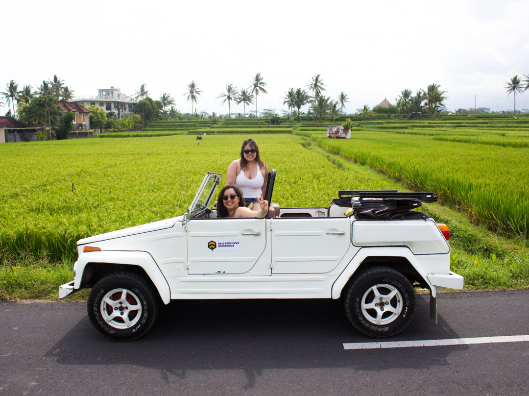 Bali Exclusive Experience景点图片