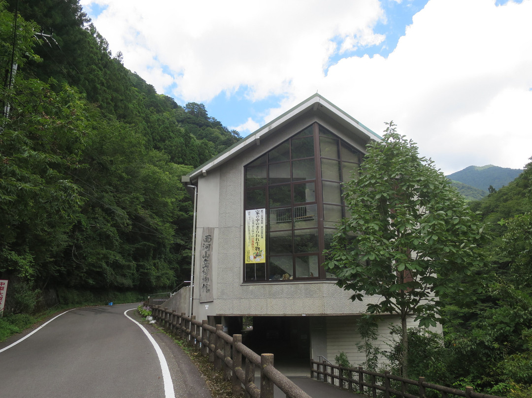 Omogo Mountain Museum景点图片