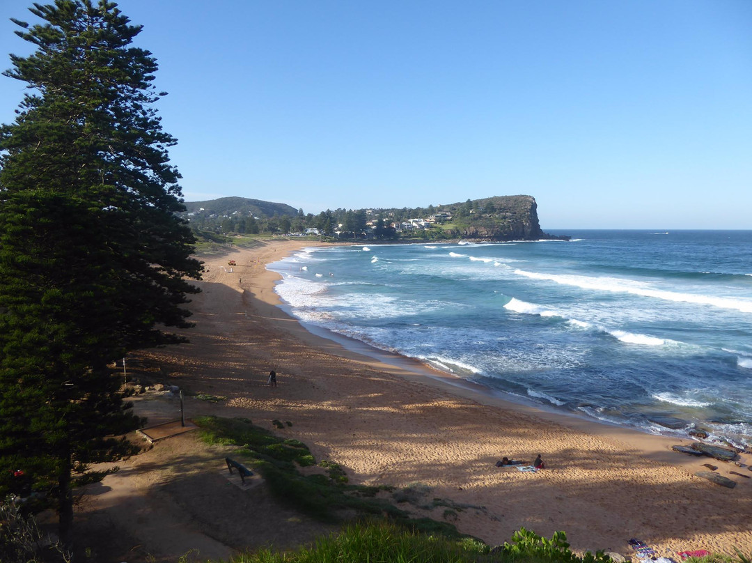 Avalon Beach旅游攻略图片