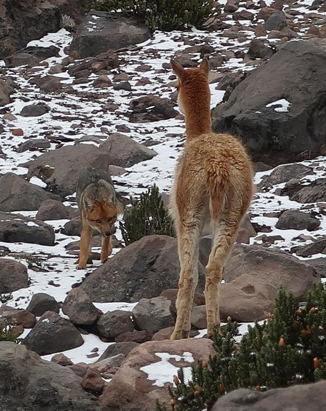 Casa de Mármol主图