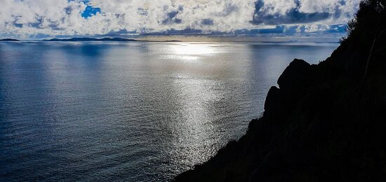 Bluff Point Walking Track景点图片