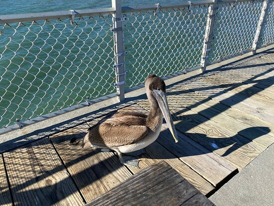 The Boardwalk on Okaloosa Island景点图片