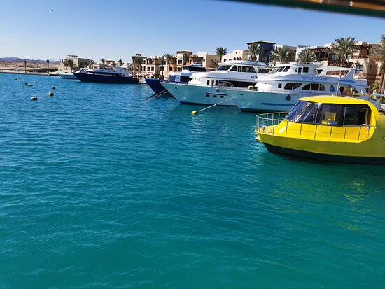 Port Ghalib Divers景点图片