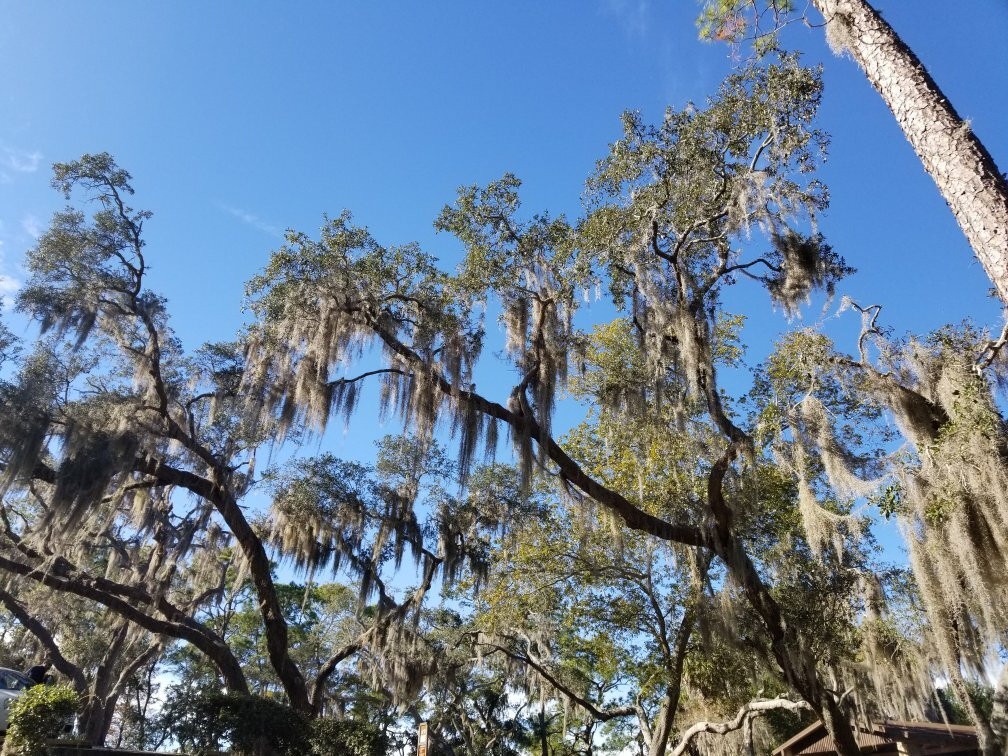 A. L. Anderson Park-塔彭斯普林斯必去景点