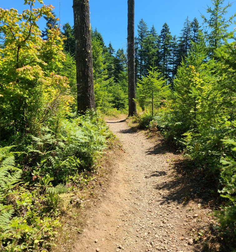 Mima Falls-Littlerock必去景点