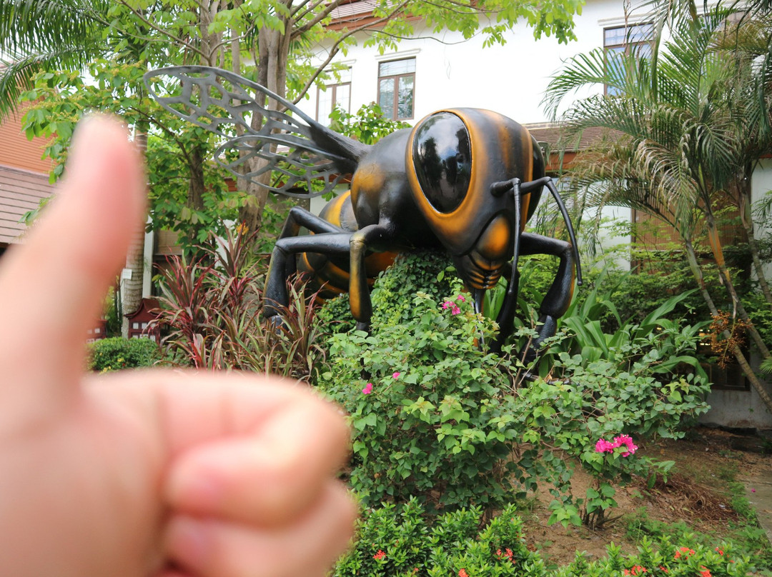 Big Bee Farm (pattaya)景点图片