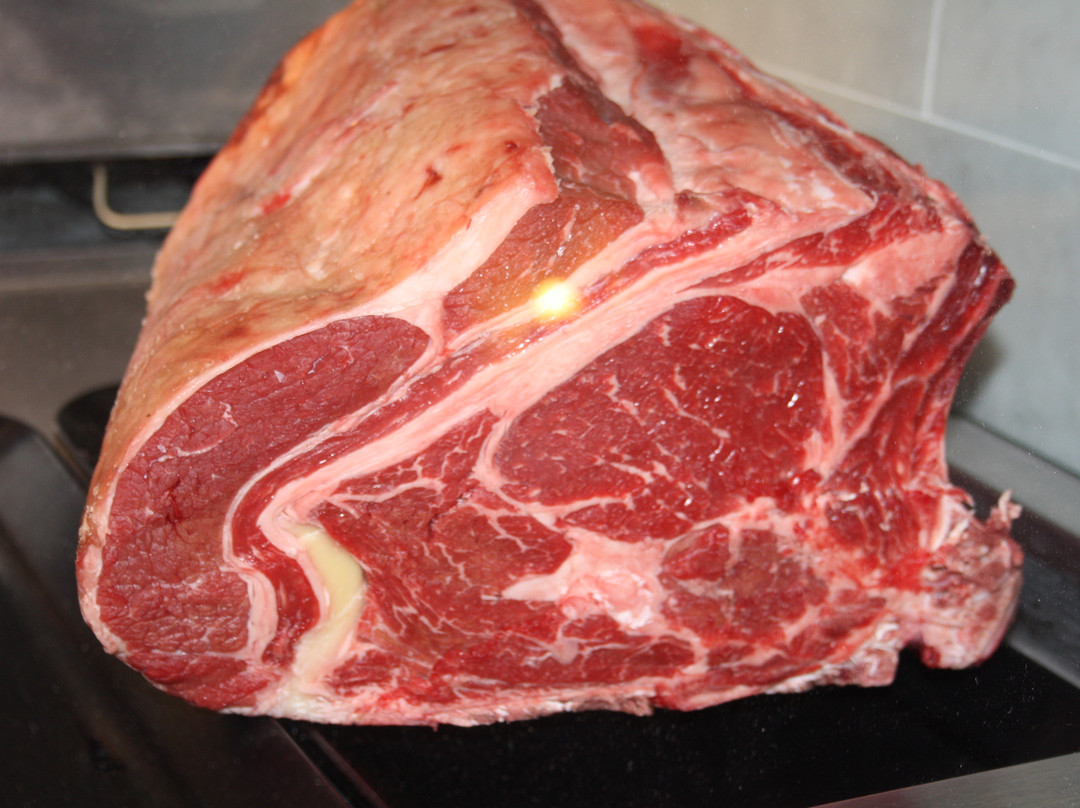 Hannibal Confraternita Della Ciccia - Castagneto Carducci