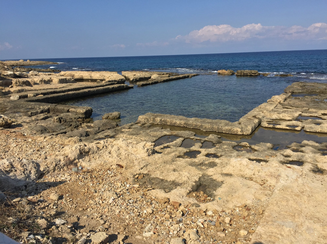Lambousa fish tanks景点图片