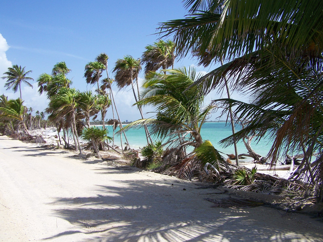 Punta Allen旅游攻略图片