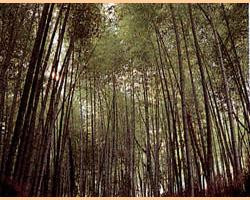 京料理・仕出し・寿司矢尾卯