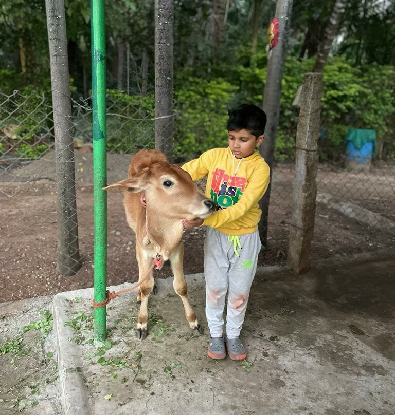 Seethavanam Natural Farm-孔巴托必去景点