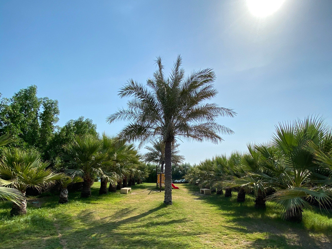 Ras Tanura旅游攻略图片