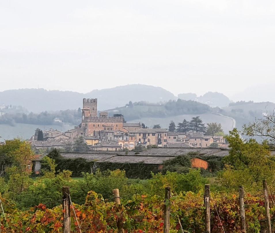 Vigneto Cardinali - Enoturismo - Sorsi di Natura