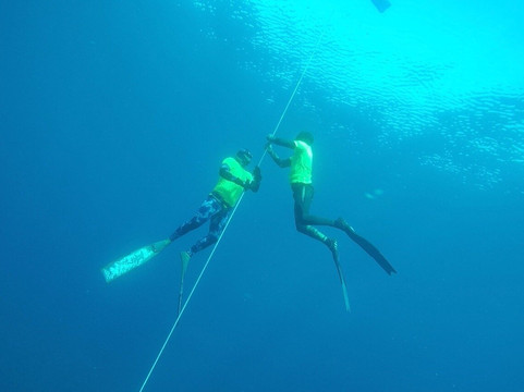 Instituto Europeo de Apnea-巴伦西亚必去景点